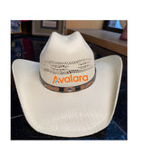 Customized 3D Logo Cowboy Hats